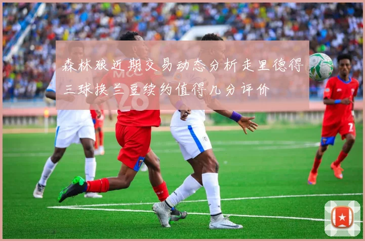 森林狼近期交易动态分析走里德得三球换兰豆续约值得几分评价