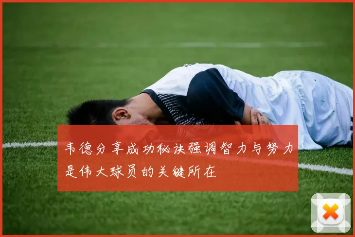 韦德分享成功秘诀强调智力与努力是伟大球员的关键所在